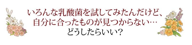 ���_�t���[�����T�C�g